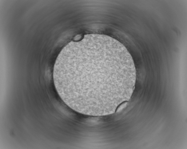 X0000112860086200910021320