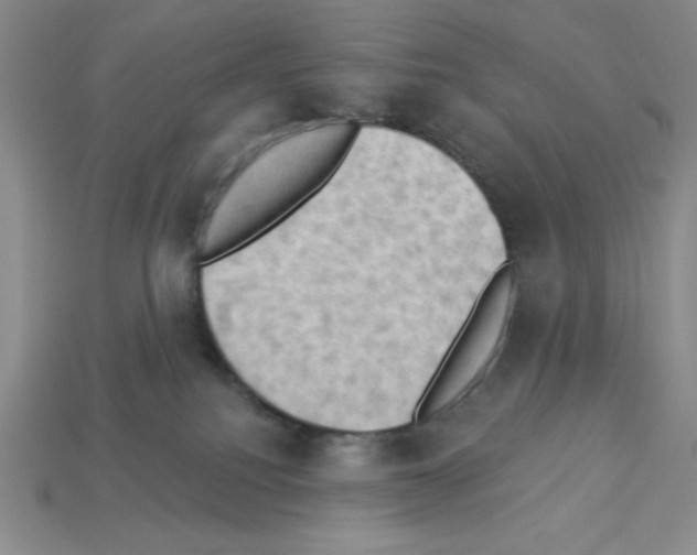 X0000112860088200910021320
