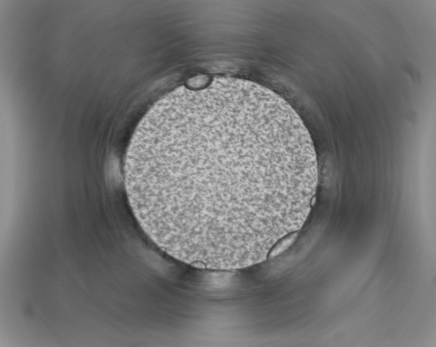 X0000112860089200910021320