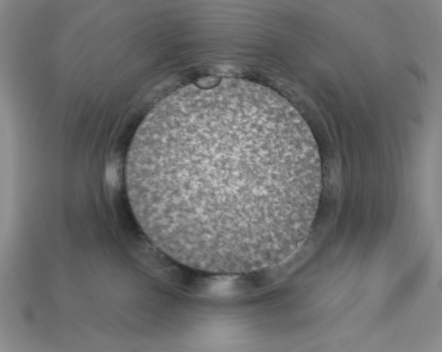 X0000112860090200910021320