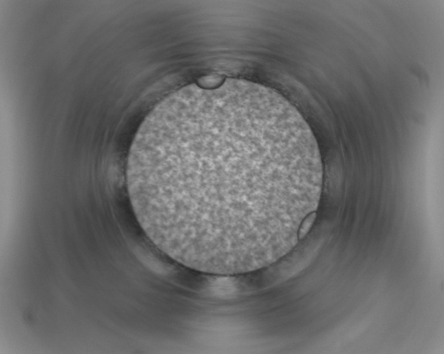 X0000112860091200910021320