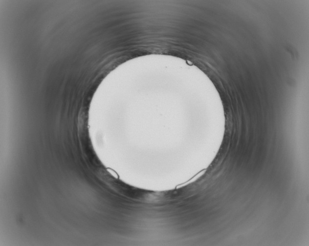 X0000112860092200910021320