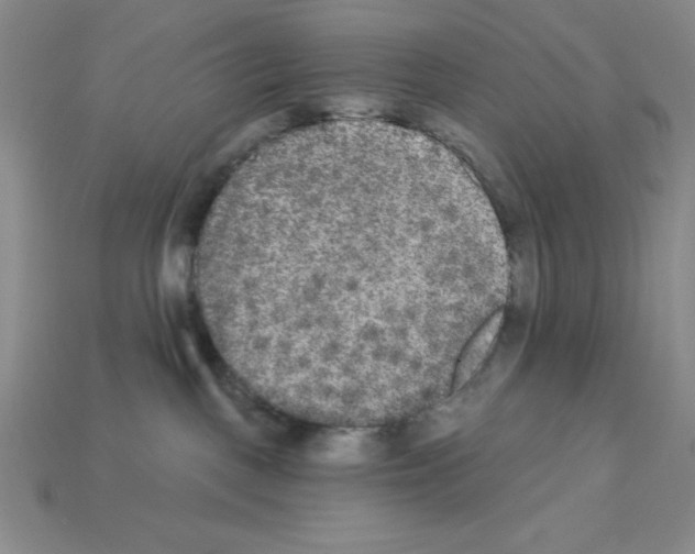 X0000112860093200910021320