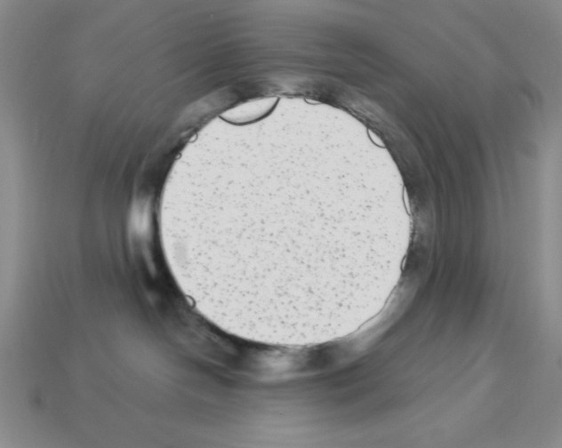 X0000112860094200910021321