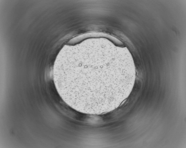 X0000112860095200910021321