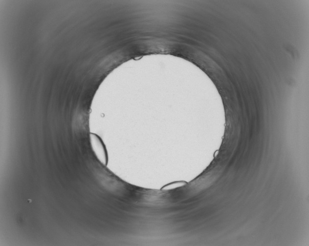 X0000112860096200910021321