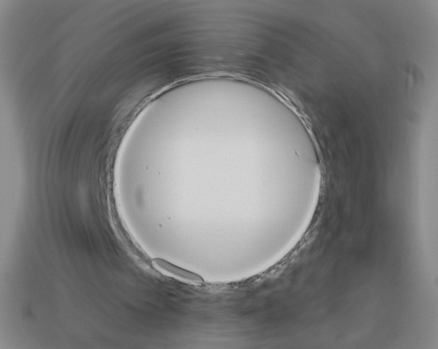X0000112860097200910021320