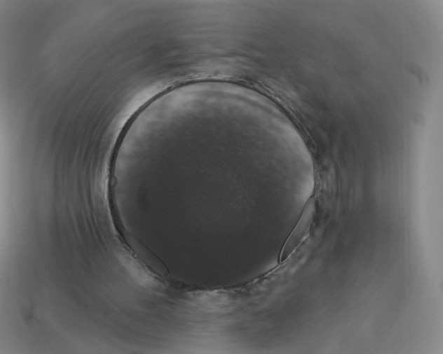 X0000112860100200910021320