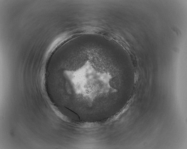 X0000112860101200910021320