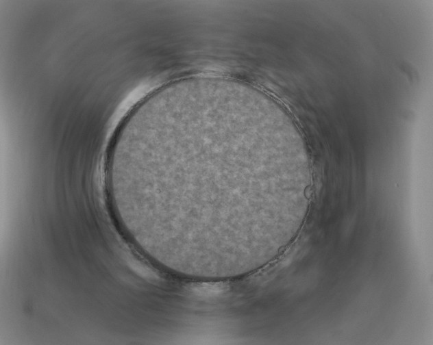 X0000112860102200910021320