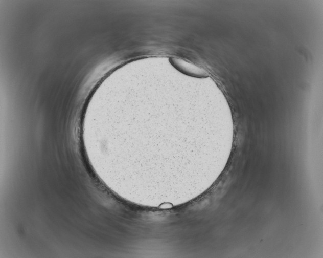 X0000112860103200910021320