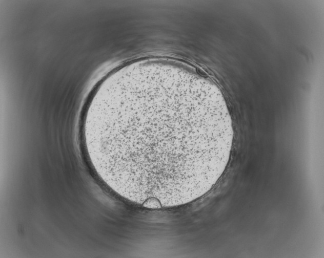 X0000112860104200910021320