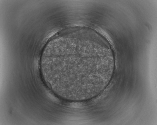 X0000112860105200910021320