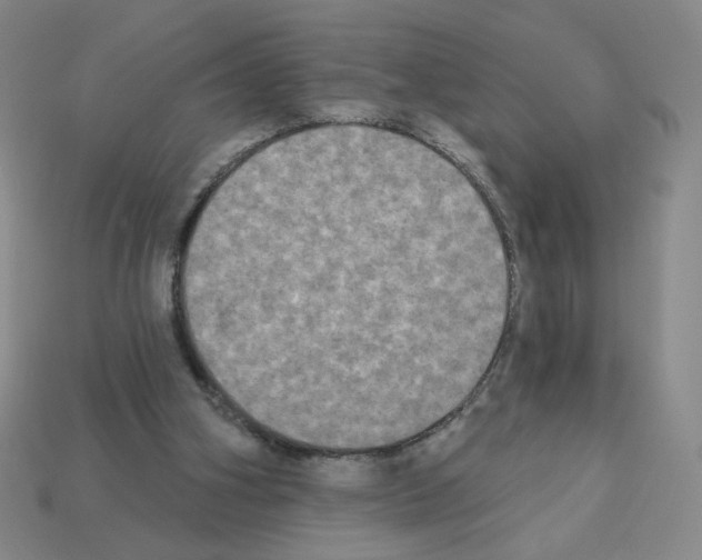 X0000112860106200910021320