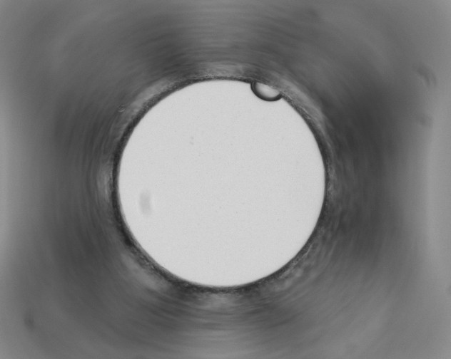 X0000112860107200910021320