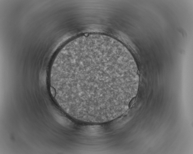 X0000112860108200910021320