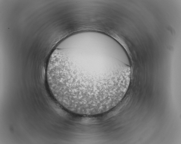 X0000112860109200910021320