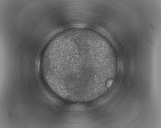 X0000112860110200910021320
