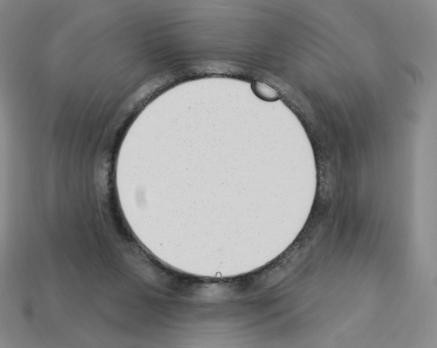 X0000112860111200910021320