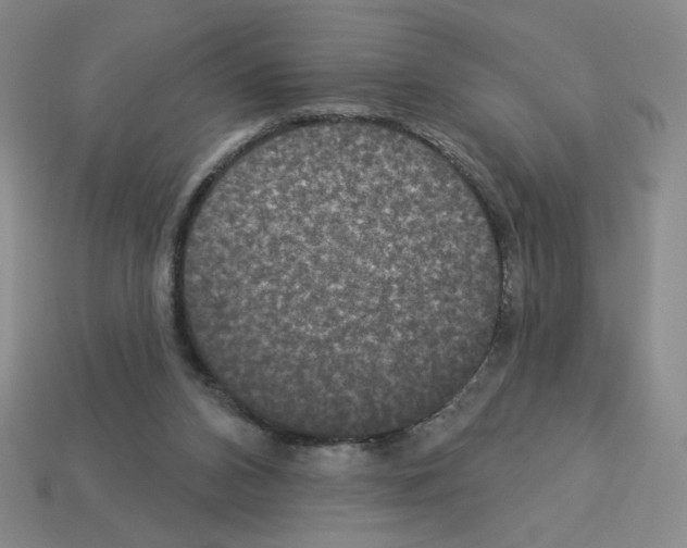 X0000112860112200910021320