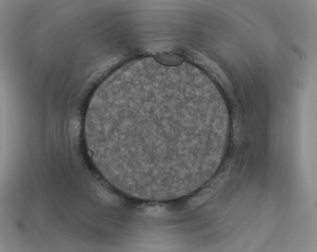 X0000112860113200910021320