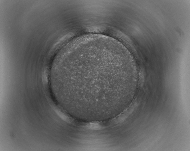 X0000112860114200910021320