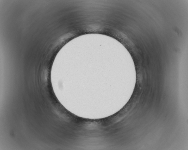 X0000112860115200910021320