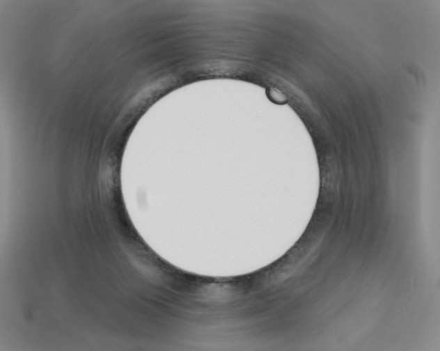 X0000112860119200910021320