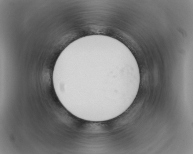 X0000112860121200910021320
