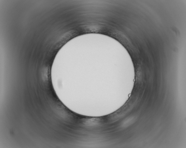 X0000112860122200910021320