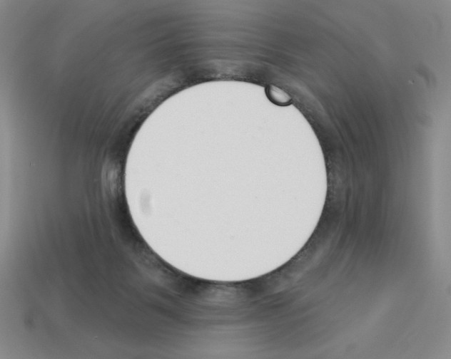 X0000112860123200910021320