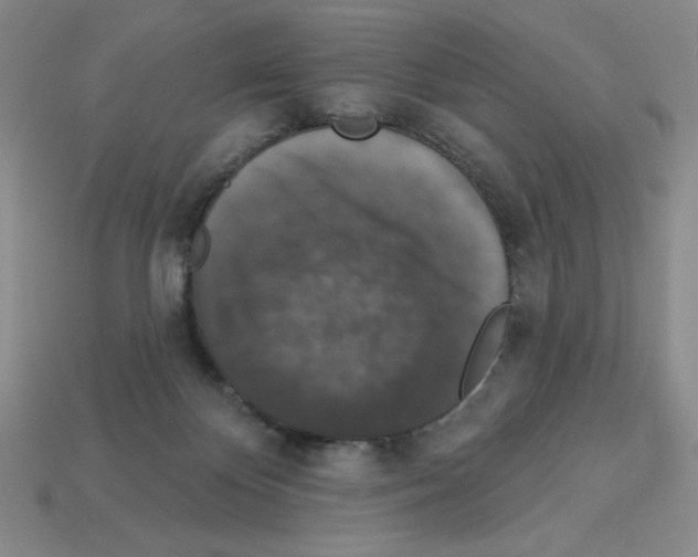 X0000112860124200910021320