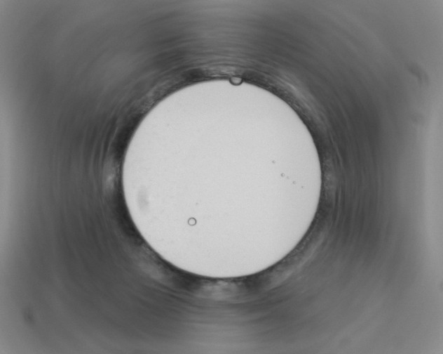 X0000112860125200910021320