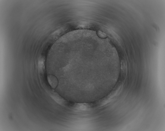 X0000112860127200910021320