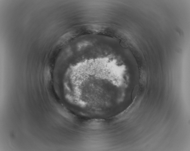 X0000112860128200910021320