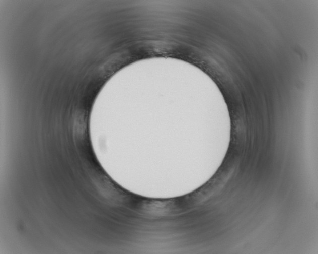 X0000112860129200910021319