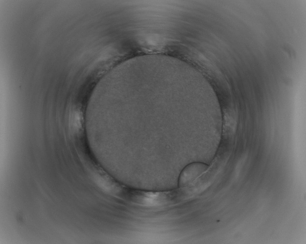 X0000112860130200910021319