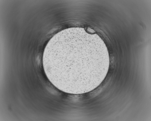 X0000112860131200910021319