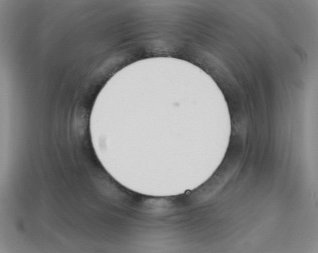 X0000112860133200910021319