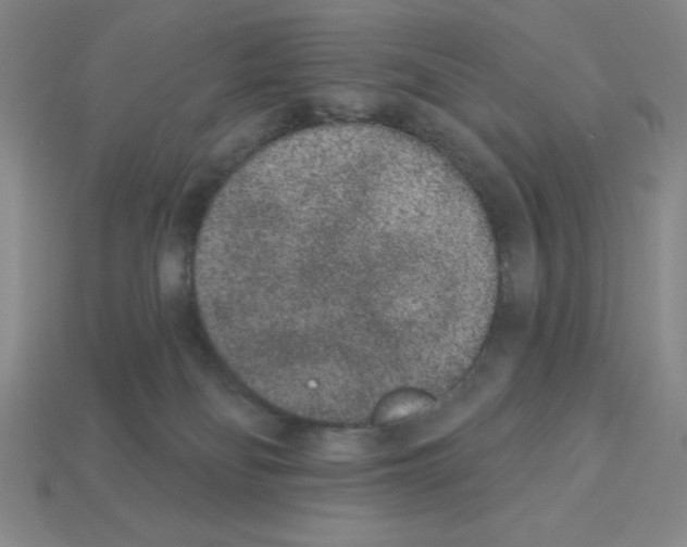 X0000112860134200910021319