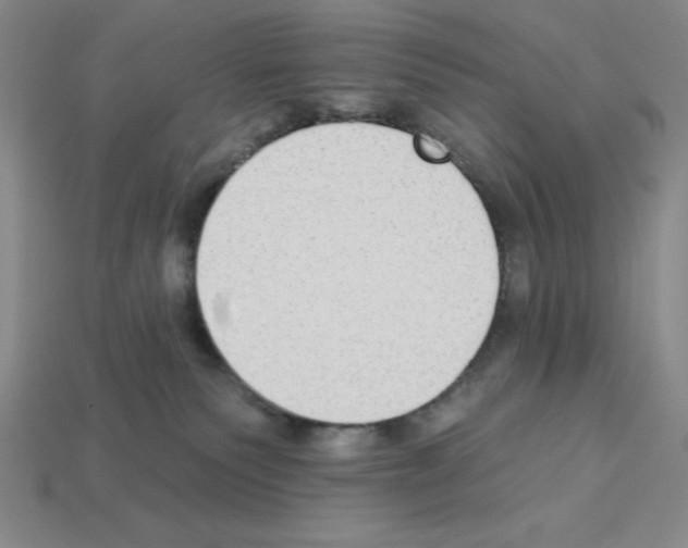 X0000112860135200910021319