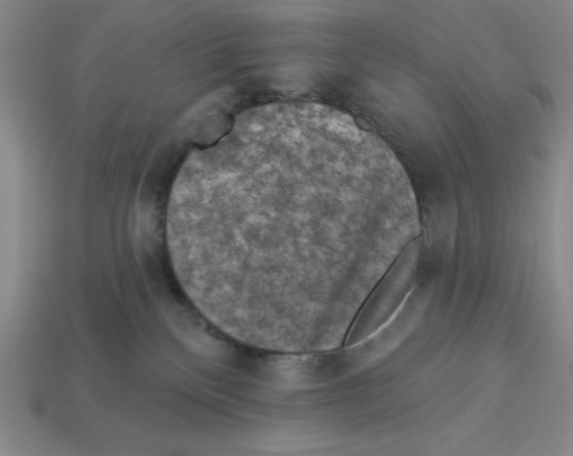 X0000112860136200910021319