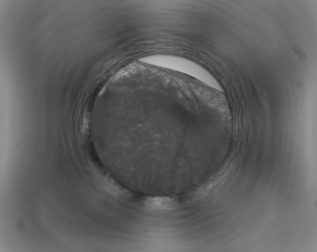 X0000112860137200910021319