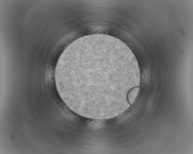 X0000112860138200910021319