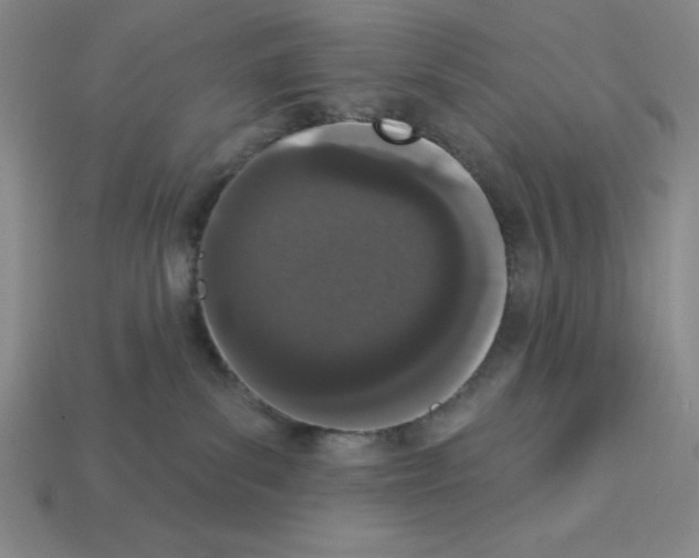 X0000112860139200910021319