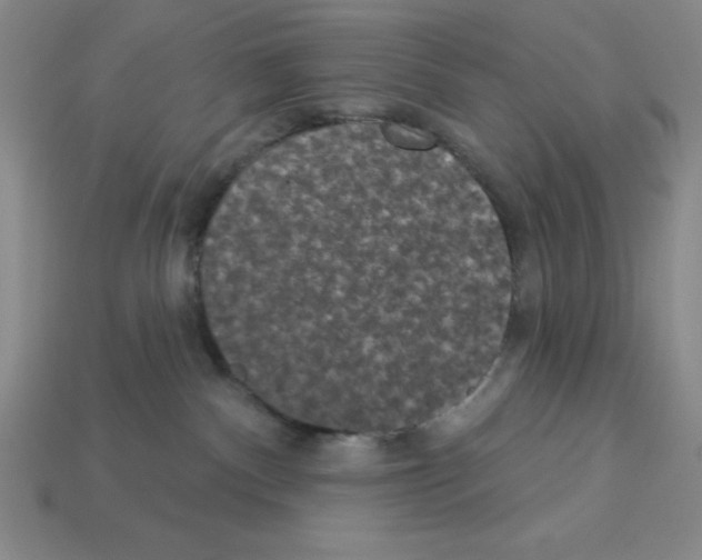 X0000112860140200910021319