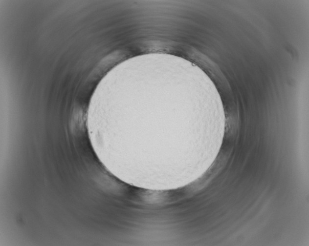 X0000112860142200910021319