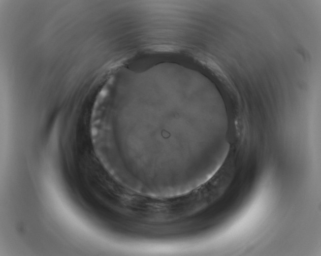 X0000112860143200910021319