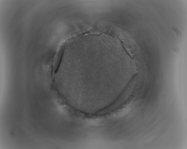 X0000112860144200910021319