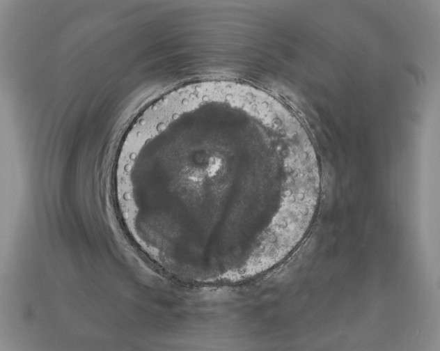 X0000112860145200910021319